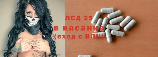 шишки Новозыбков