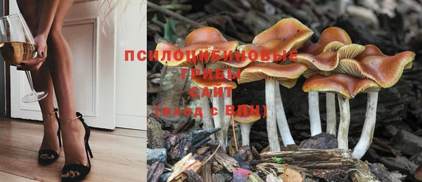 мяу мяу кристалл Нягань