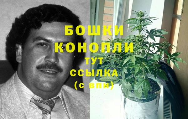 таблы Няндома