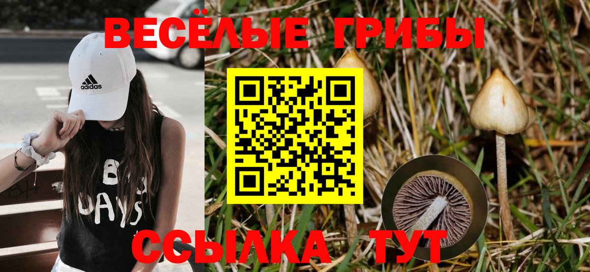 Галлюциногенные грибы MAGIC MUSHROOMS Мыски