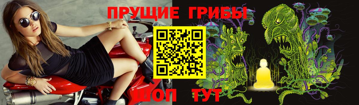 Галлюциногенные грибы мицелий  Псилоцибиновые грибы Cubensis  Мыски  Вход с VPN 